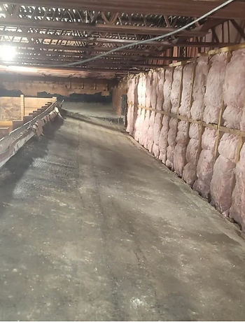 rodent and pest cleanup image