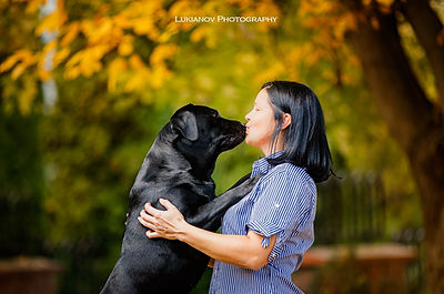 A kiss with a Labrador