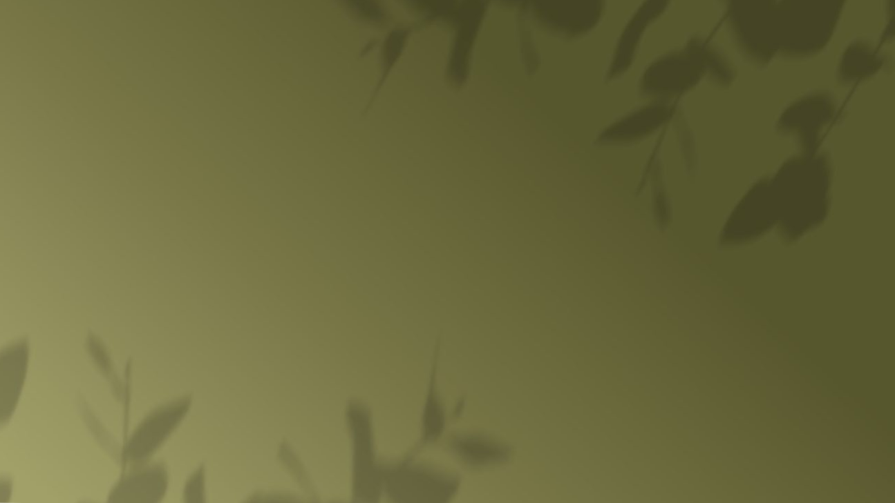 8ef8e305ce16c892ad1358dcbd58bfe7_edited.png
