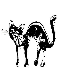 cat 2.jpg