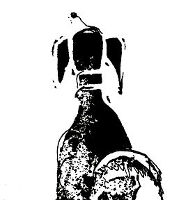 dog sq edit 2.jpg