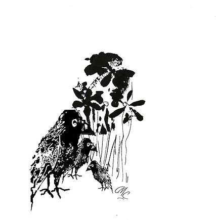Birdday copy 2.jpg