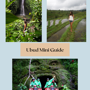 Ubud Mini Guide