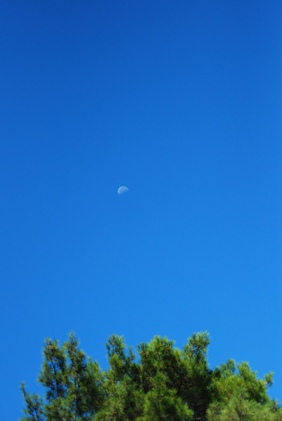 Kamiros_20