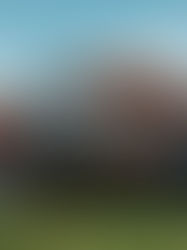 The Impact of Roof Design on Home Energy Efficiency