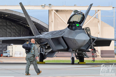 1_F-22A_Buddha Stepping.jpeg