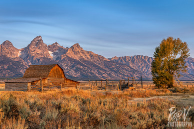 Mormon Row Sunrise4.jpeg