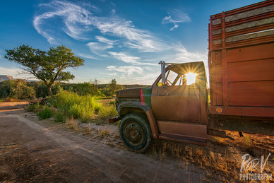 Truck Cornfield_web.jpeg