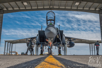 1_F-15E_0308_MO_389FS.jpeg