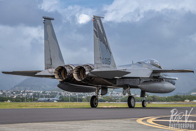11_F-15C_82-0015_194FS 2.jpeg