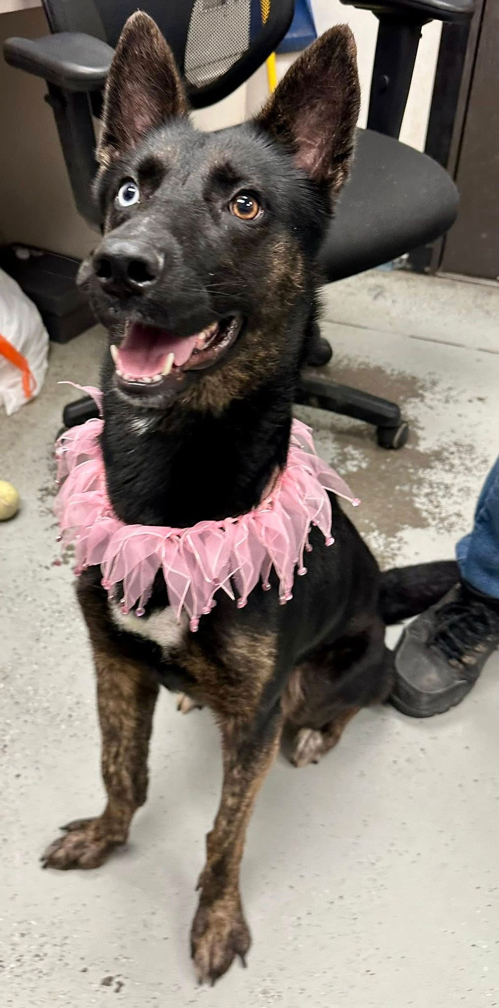 578267283_3745508522249917_3876847253104674516_n