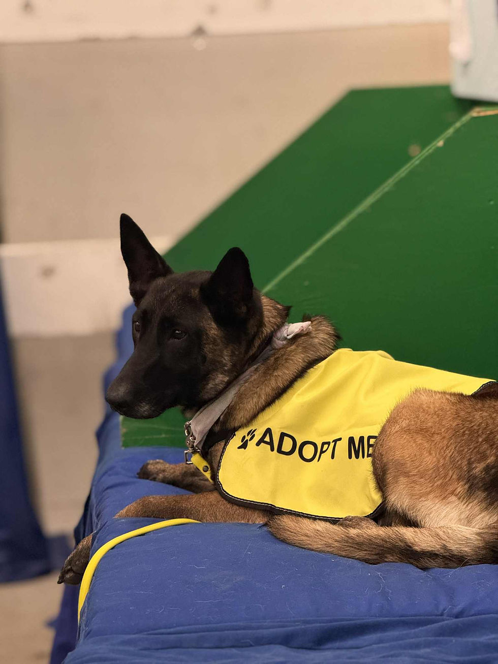 794fb5c7-2008-4e53-a930-65f2d8fabac1