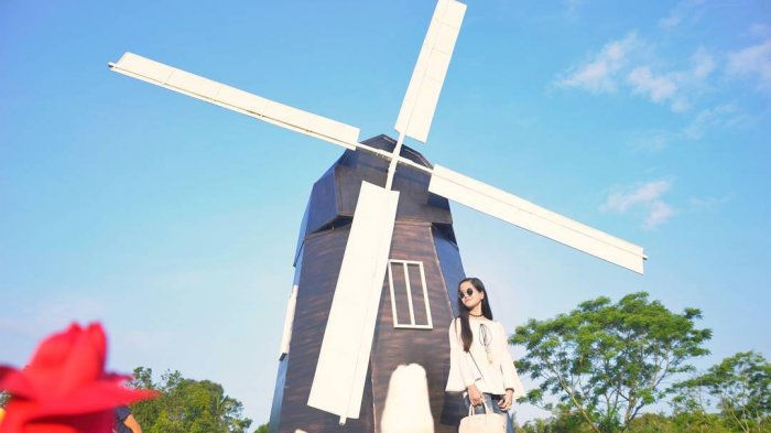 Tribun travel