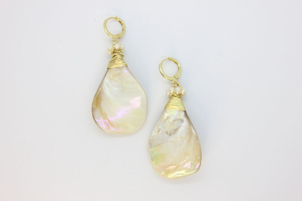 Miniatura: Shells