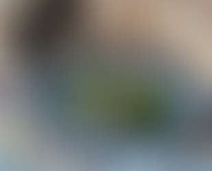 料理とレシピと器の美味しい関係