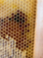 Thumbnail: Blackberry Syrup Honey 10 oz. wt.