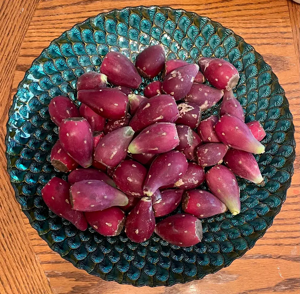 Texas Prickly Pear Jelly