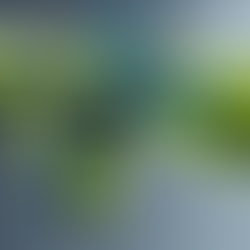 Unleash Your Gaming Potential: Top Action Games Reviewed