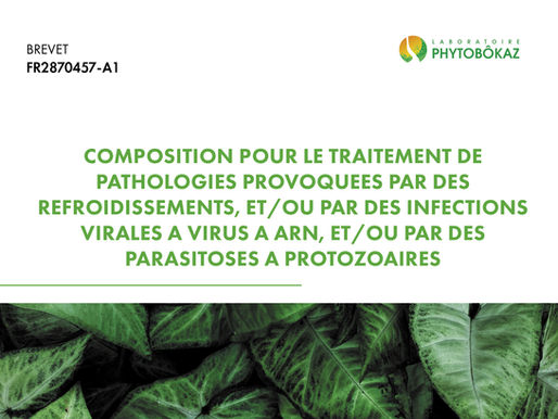 Composition pour le traitement de pathologies