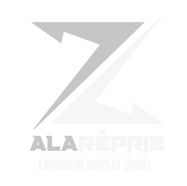 Alarepriz_logo-principal-clair.png