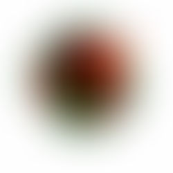 Celebrate Women's Month with Darfur Women Action Group