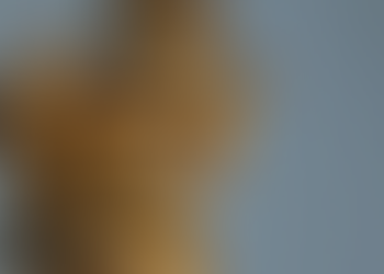 New papal document reads like a conclusion in search of an argument