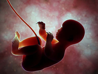 Abortion Murders 42.7 Million in 2020, Leader in Global Cause of Death