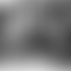 Forgotten Customs of Martinmas and St. Martin’s Lent