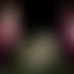 Advent - A Catholic Preparation for Christmas