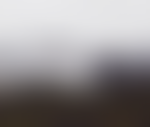 Afghanistan Disgrace - Over 500 American Citizens Trapped