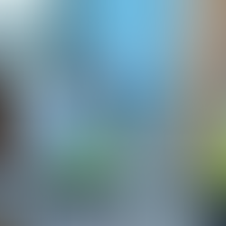 BREAKING: Irish Police Storm Latin Mass