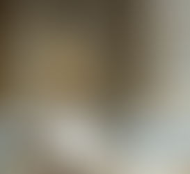 Prayers and Practices of Knights of the Republic and the Most Victorious Heart of Jesus