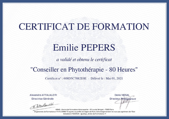 Certificat de formation en conseiller en Micronutrition d'Emilie Pepers à Lannion