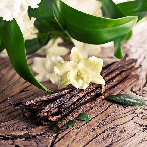 681-Sandalwood-Vanilla-Fragrance-Oil-214.jpg