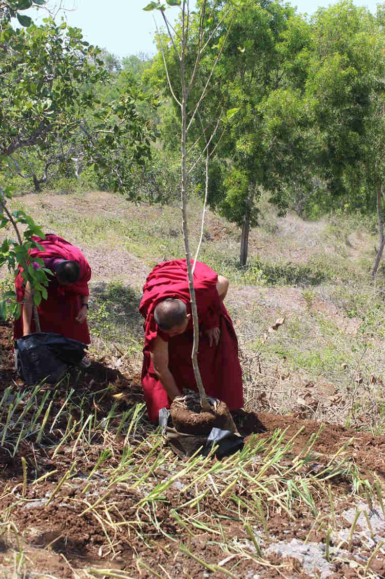 Rampungnya Masa Vassa dan Upacara Memasuki Kuti