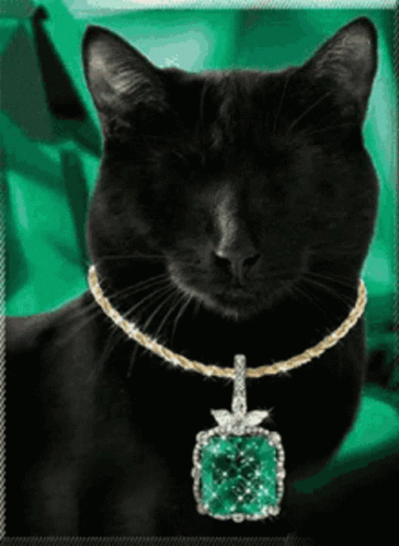 cat.gif