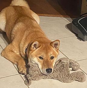 yuki.jpg