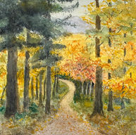 Autumn Walks