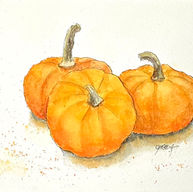 Mini Pumpkins