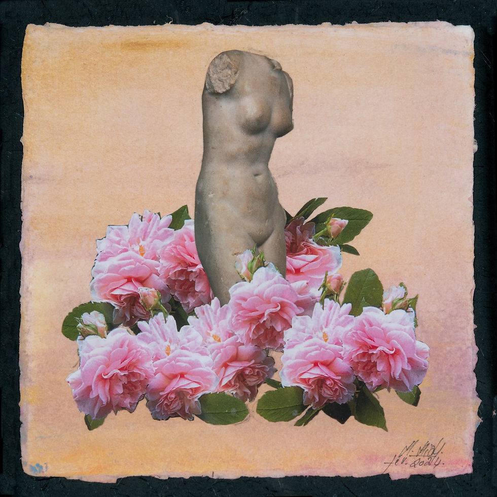 2024 - Les roses