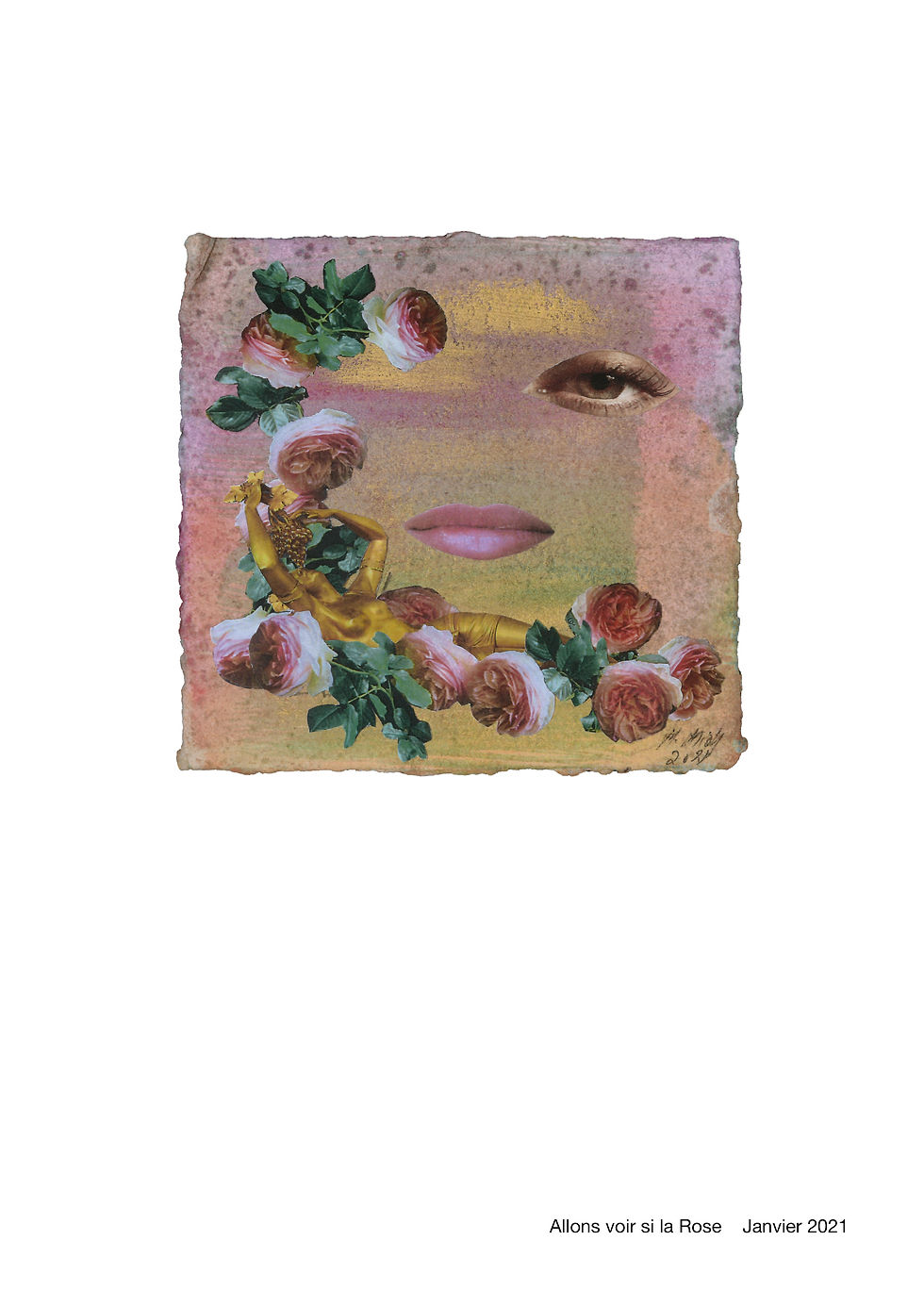 2021 - Allons voir si la rose