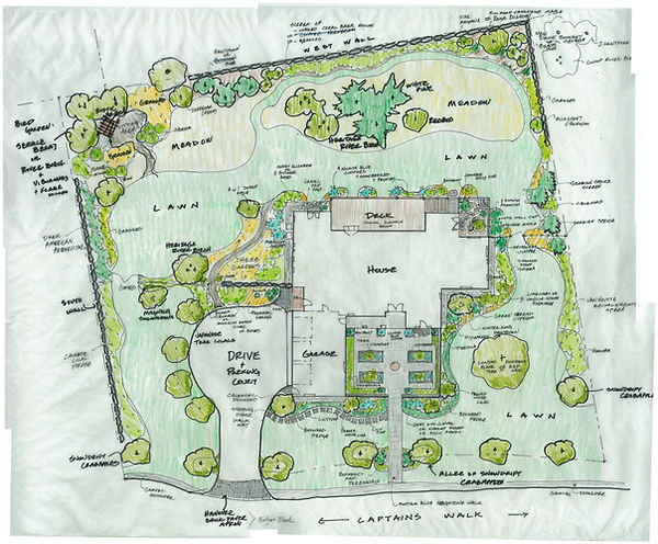 example of a landscape site design