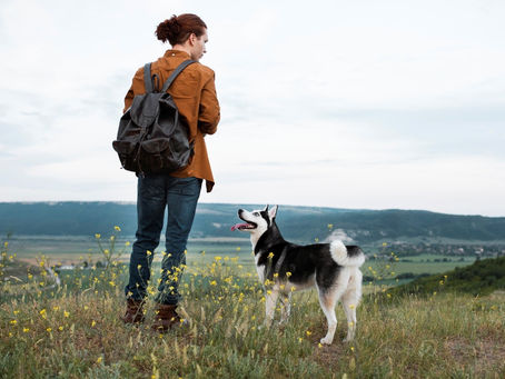 The Ultimate Dog Owner’s Checklist for Weekend Walks What to pack, including the Poo-ch Pouch