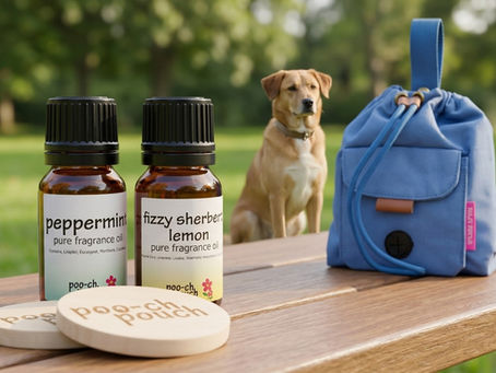 Why Fragrance Oils Are the Perfect Add-On for Your Dog Walk Pouch