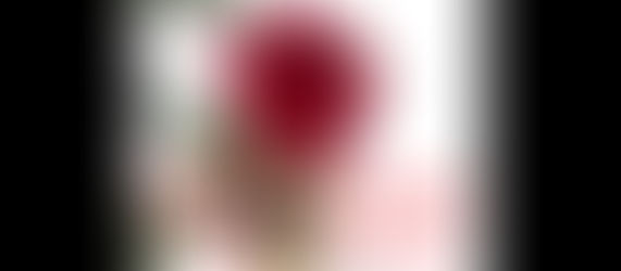 赤いハイビスカスの花