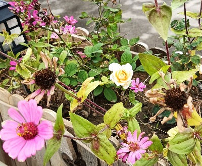 寒い日の座椅子