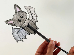 Flying Bat Craft