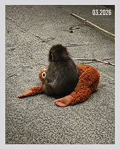ChatGPT Image May 22, 2026, 08_28_12 PM.png