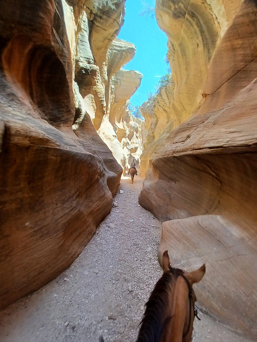 Bryce7.jpg