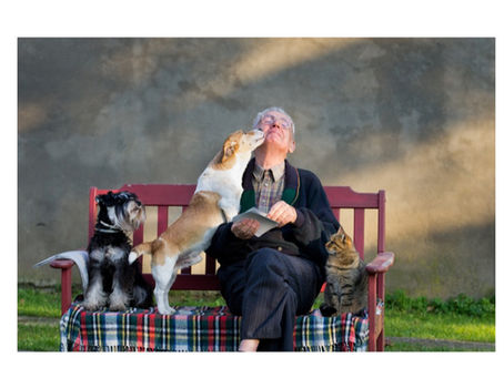Pet Ownership for Seniors